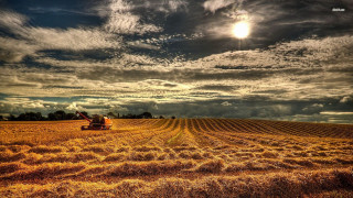 Tractor driving field hay cloudy - a tractor free wallpaper