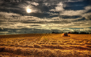 Tractor driving field hay cloudy 2 - a tractor free wallpaper