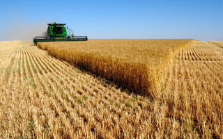 Combine harvesting wheat field tractor - heavy free wallpaper