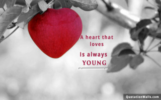 Heart loves young tree branch - david young cameron free wallpaper