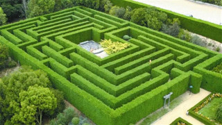 Green maze park trees man - institutional free wallpaper for desktop