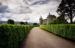 Road castle hedge lined path - both side free wallpaper