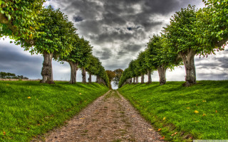 Dirt road trees grass cloudy 2 - the center of the picture free wallpaper