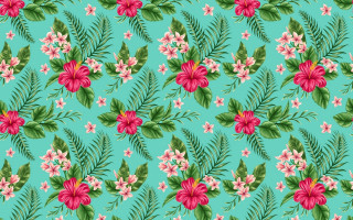 Blue background pink green flowers - fine foliage lace free wallpaper for desktop