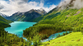 Mountain lake green trees cloudy 4 - green tree free wallpaper
