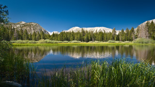 Lake mountains tallgrass forest sky - green tree free wallpaper for desktop