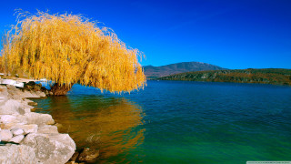 Tree water mountain blue sky - alen divi free wallpaper