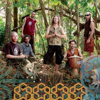 Group people woods trees plants - the wood free wallpaper for tablet