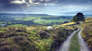 Dirt road lush green countryside - a dirt road free wallpaper