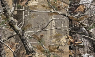 Camouflage trees leaves building clock - hyperrealistic free wallpaper