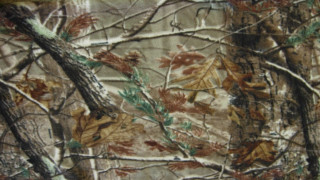 Camouflage leaves branches brown background - andreas gursky free wallpaper for desktop