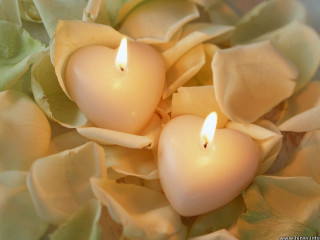Candles flower arrangement leaves petals - the table top free wallpaper