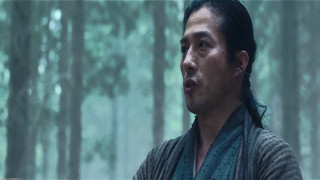 Man long hair forest looking - a long hair free wallpaper