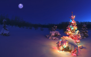 Christmas tree snow night full 2 - a christmas tree free wallpaper