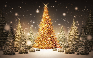 Christmas tree snow falling lit - a christmas tree free wallpaper