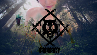 Woman wolf head crossed swords - carne griffiths free wallpaper