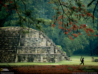 Person running pyramid park tree - andy goldsworthy free wallpaper
