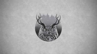 Owl antlers circle trees moon - an owl free wallpaper