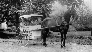 Man carriage park trees grass - medium free wallpaper