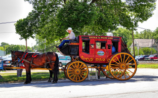 Man horse carriage street park - carriage free wallpaper