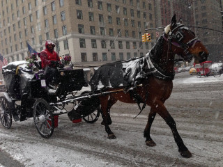 Horse drawn carriage snowy street - carriage free wallpaper