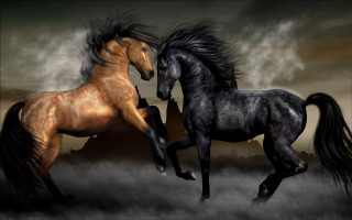 Two horses running cloudy sky - two horse free wallpaper