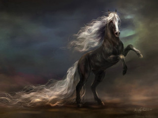 Horse long hair hind legs 2 - its hind leg free wallpaper