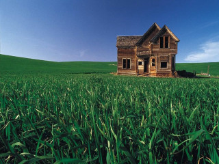 House field grass blue sky 2 - digital photography free wallpaper