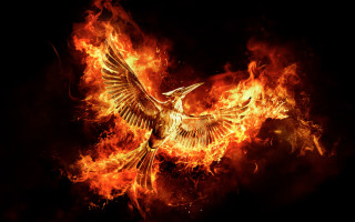 Bird flying fire wings spread - fire free wallpaper