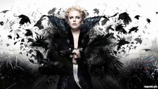 Woman sword birds flying around - dark shadow free wallpaper