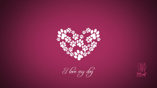 Heart pawprints pink background love - paw free wallpaper