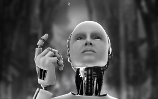 Robot holding object looking up - a robot holding free wallpaper