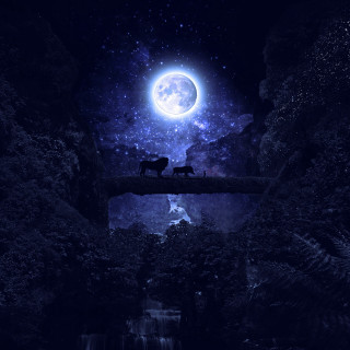 Animals bridge full moon waterfall - under free wallpaper for tablet