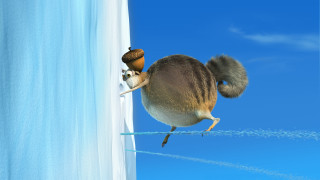 Dog horse tightrope snail riding - a snail free wallpaper