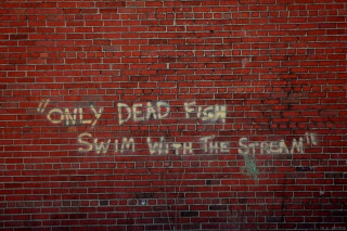 Brick wall graffiti storm fishstop - a stop sign free wallpaper