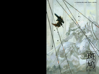 Bird flying forest asia helmet - a book cover free wallpaper for desktop