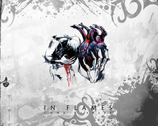 Horse blood flames image side - face and the words free wallpaper