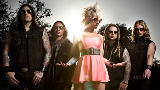 People sunlight trees arms outstretched - their arm free wallpaper for desktop