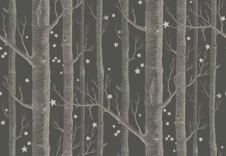 Black white forest stars branches - claire hummel free wallpaper for desktop