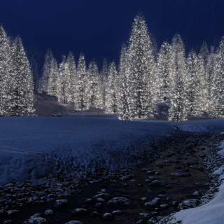 Snowy path forest trees volumetric - free winter wallpaper for tablet