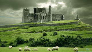 Castle sheep grazing hillside background - a hill side free wallpaper
