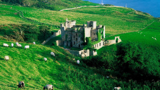 Castle sheep grazing green hillside - sheep free wallpaper