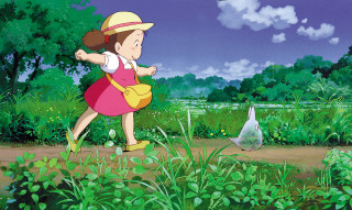 Girl pink dress hat field - a field free wallpaper