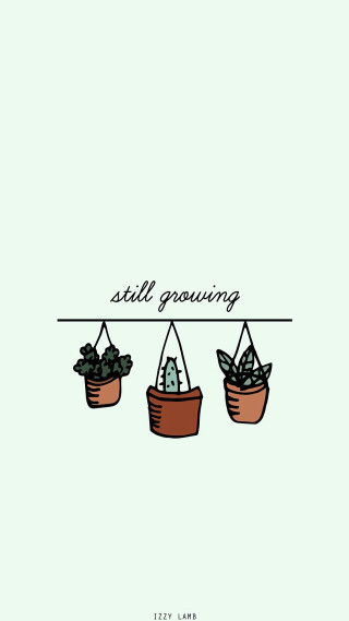 Still growing three potted plants - plant free wallpaper for mobile