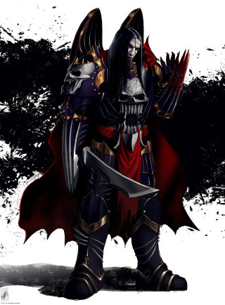 Man armor sword skull chest - armor free wallpaper for mobile