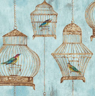 Blue wall bird cage side - a blue wall free wallpaper for tablet