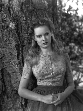 Woman tree dress hat hand - free forest wallpaper