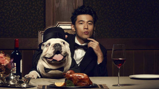Man dog tuxedo table food - bian jingzhao free wallpaper