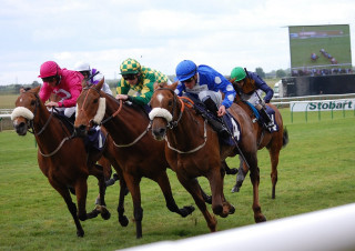 Horse race crowd sky track - the back free wallpaper