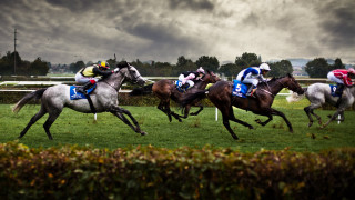 Horses racing grass field cloudy - a grass field free wallpaper